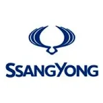Logo de Ssangyong